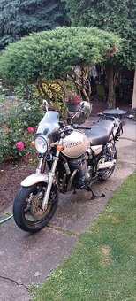 Suzuki GSX 750 inazuma - 8