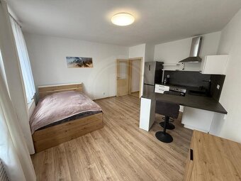 PRONÁJEM BYTU 1+KK, NÁMĚSTÍ ŠIMONA LOMNICKÉHO, ŠEVĚTÍN - 8