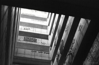 Canon AE-1 + Canon FD 50mm f/1.8 - 8