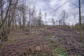 Prodej pozemku v obci Terezín u Mikulovic - 8