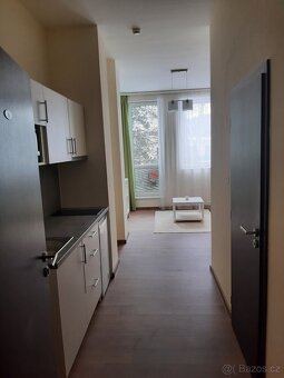 1+kk Sázava byt k pronájmu - 8