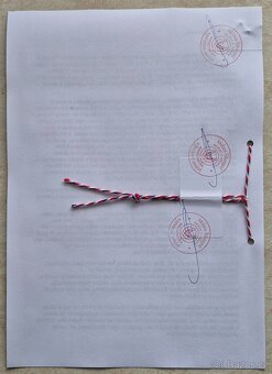 OBRAZY - VYHOTOVIM ZNALECKÉ POSUDKY - 8