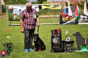 Rottweiler s PP (FCI) - 8