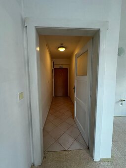 Pronájem bytu 1 + 1 - 8