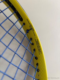 Babolat Pure Aero 100, 300gr, L2 - 8