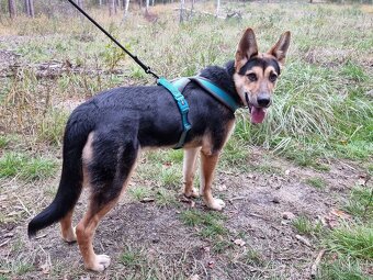ABBIE K ADOPCI - malá NO úžasňačka, nejde se nezamilovat:) - 8