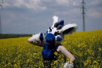Prodám fursuit - 8