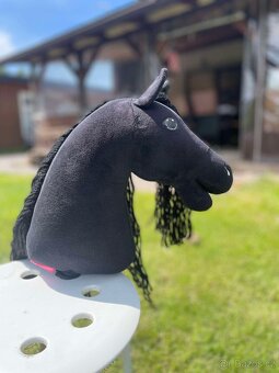 Hobby horse - 8