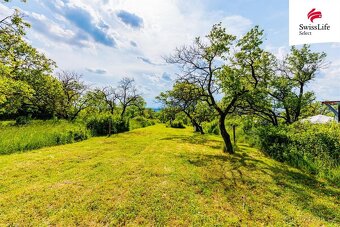 Prodej sadu, vinice 3876 m2, Židlochovice - 8