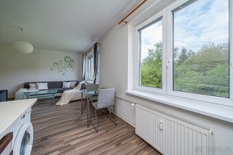 Pronájem bytu 1kk 33,5 m2 - Konice - 8