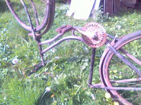 Veterán kolo dámské - 8