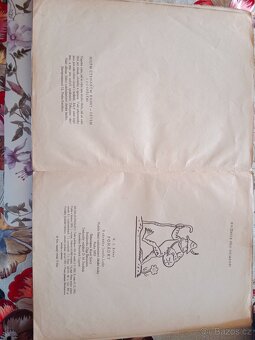 Knižky dětské - 8