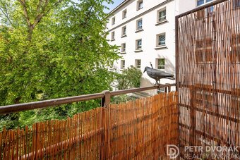 Pronájem bytu 3+kk 84 m2 Jankovcova, Praha 7 Holešovice - 8