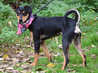 Vitalina rezervace - 8