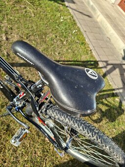 Kolo author a kolo merida - 8