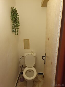 Pronájem bytu 1+1 v Mladé Boleslavi - 8