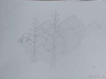 Obrázky obrazy kresby kreslení - 8