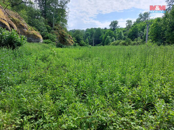 Prodej louky, 1003 m², Vysoká - 8