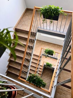 Pronájem 2 zrekonstruovaných kanceláří 49,5 a 19,5 m2 - 8