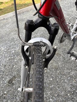 Kolo Ravo palomar - 8