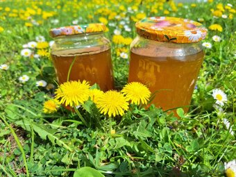 Domácí Pampeliškový MED/sirup - 8