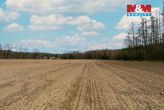 Prodej pole, 5839 m², Předenice - 8