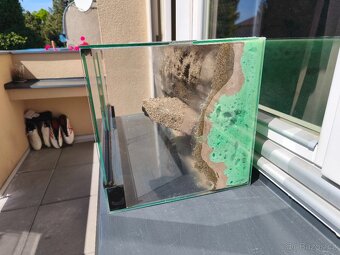 Terárium 60cm s 3D stěnou - 8
