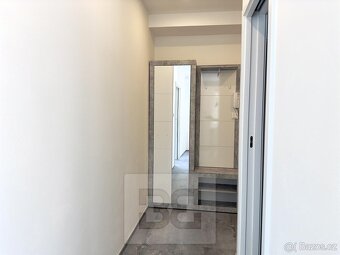 Pronájem bytu 1+1, 18000 kč, 39m2, Boleslavova, ev.č. N08094 - 8