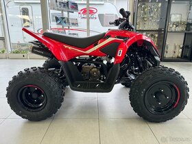 CFMOTO Gladiator X110 LE červená/modrá - 8