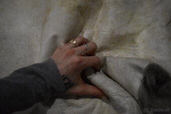 Kožešina daněk 2 - 8