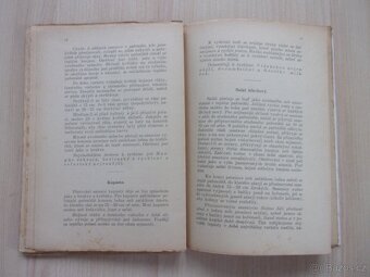 STARÁ KNIHA - PAŘENIŠTĚ A RYCHLENÍ ZELENINY r.1917 - 8