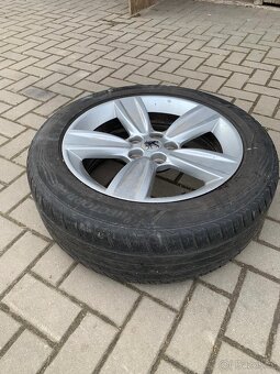 Auto s přívěsem na koně - 8