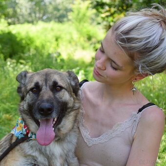 THELMA K ADOPCI - 2 roky, NO, přátelská mazlivka - 8