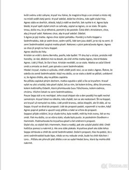 Rozbory maturitní četby - 8