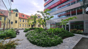 Pronájem kanceláře 413 m² Plzeňská, Praha - Smíchov - 8