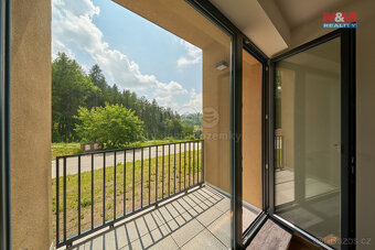Prodej bytu 2+kk, 42 m², Černý Důl - 8