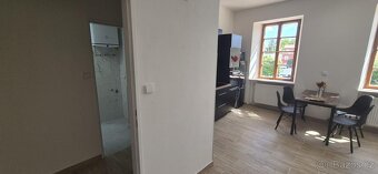 Pronájem nadstandardního bytu 2+KK se sdílenou terasou v Čes - 8