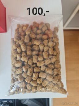Terárium pro želvu - 8