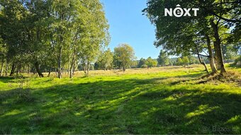 Prodej pozemek Louky, 68906㎡ - 8