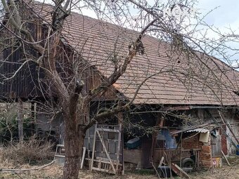 Prodej Rodinný dům, 356㎡ - 8