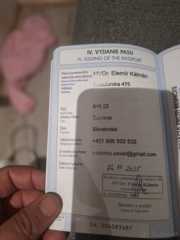 Prodam Sibiřského Huskyho - 8