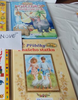 CESTOVNÍ KUFR-OBAL+ KNIHY +VĚCI DO DOMÁCNOSTI. - 8