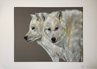 Obraz Strážci Arktiky, pastel - 8