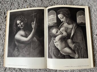 Kniha:MISTŘI EVROPSKÉHO MALÍŘSTVÍ. - 8