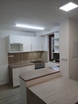 Byt (ateliér)3+kk 58,5 m2 k pronájmu - 8