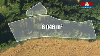 Prodej louky, 6046 m², Bílá - 8