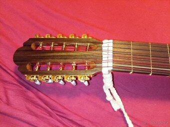 netradiční desetistrunná kytara - 8