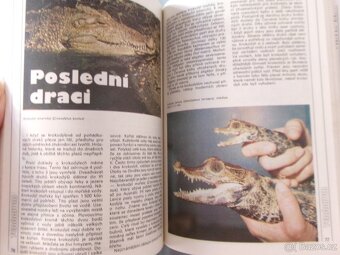 Magazín Akvárium terárium. - 8
