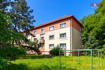 Pronájem bytu 2+1, Pardubice, ul. Artura Krause - 8