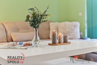 Prodej, byty/1+kk, 46.5 m2, 51761 Říčky v Orlických horách, - 8